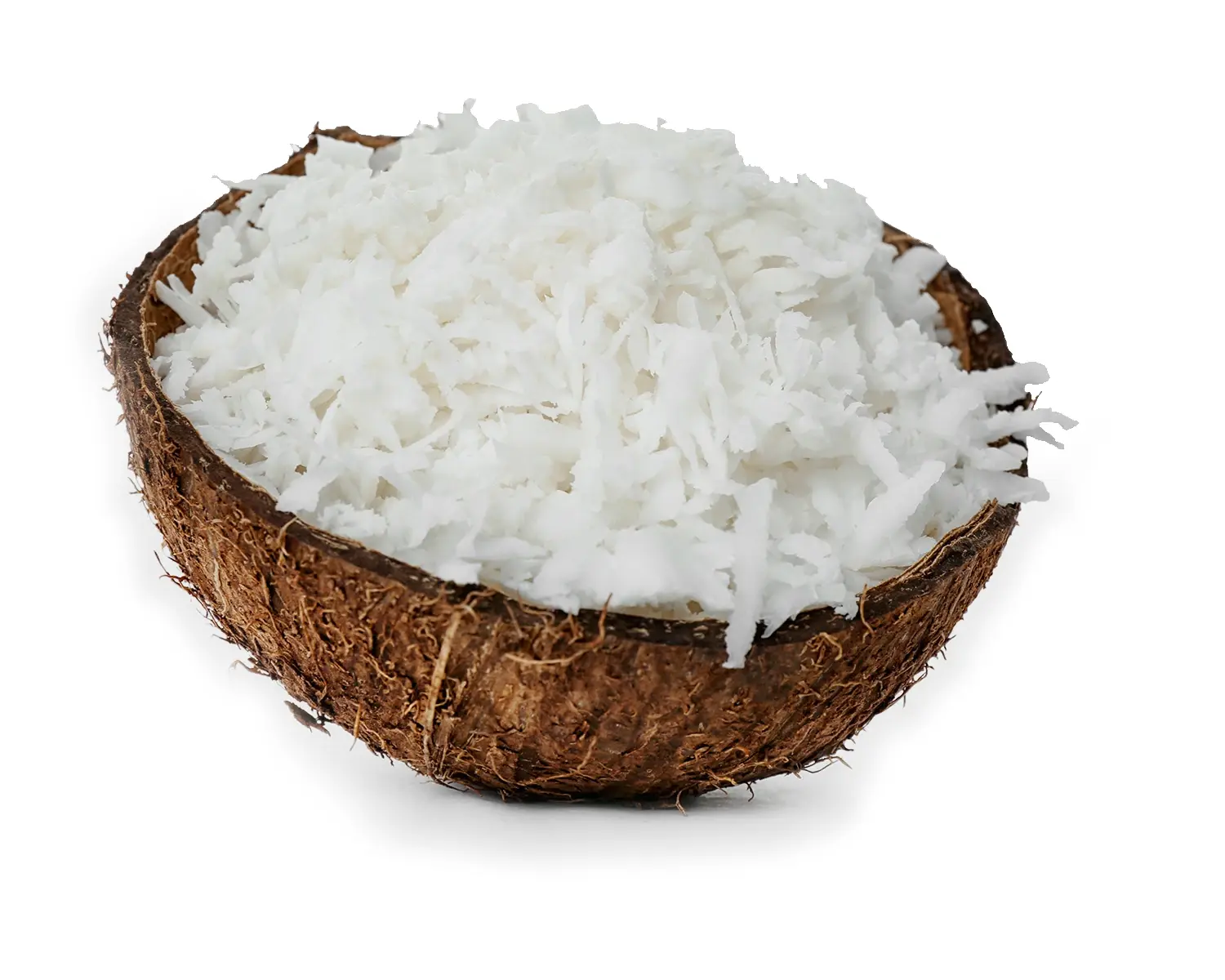 Roasted Coconut — close-up