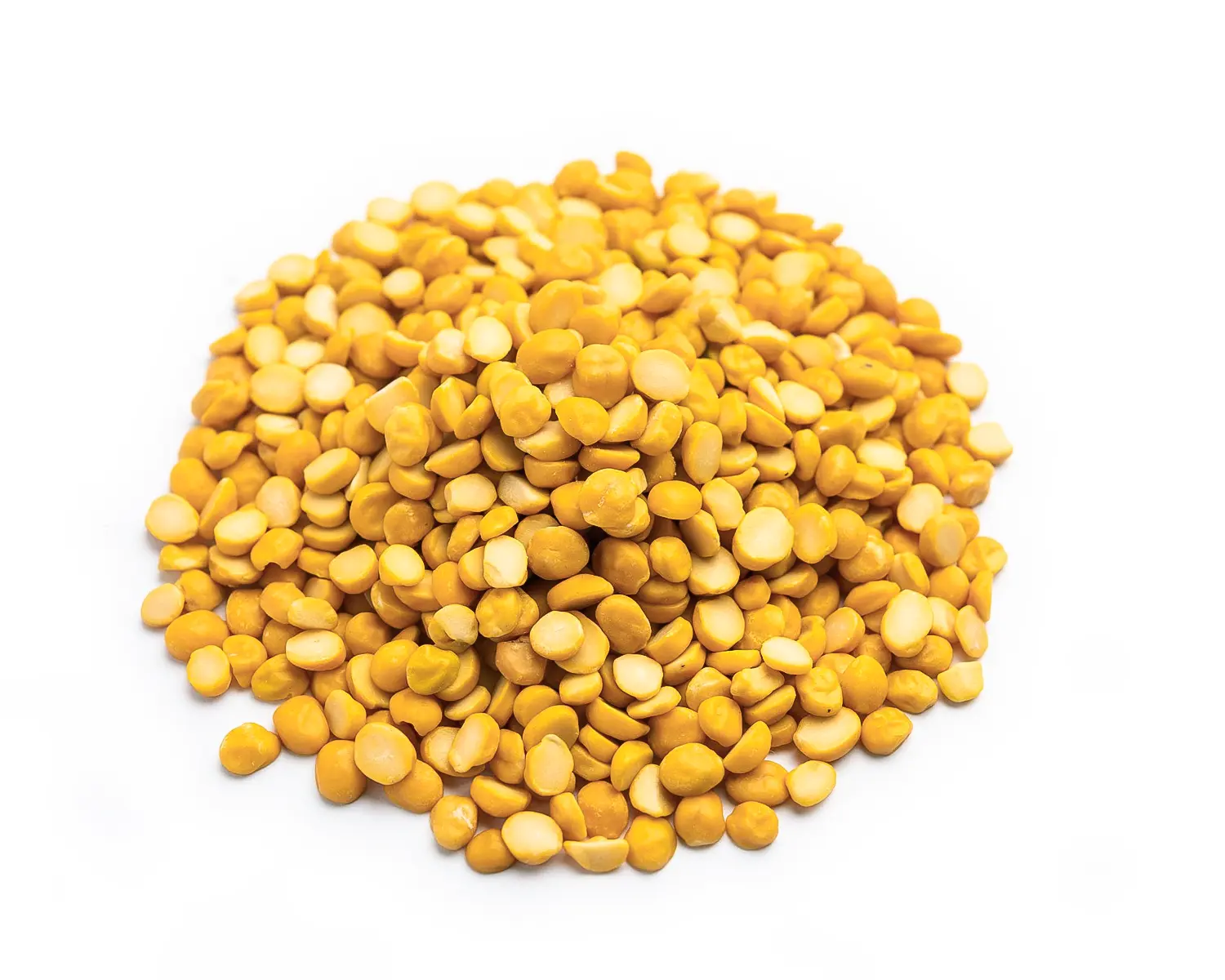 Split Chickpea — close-up