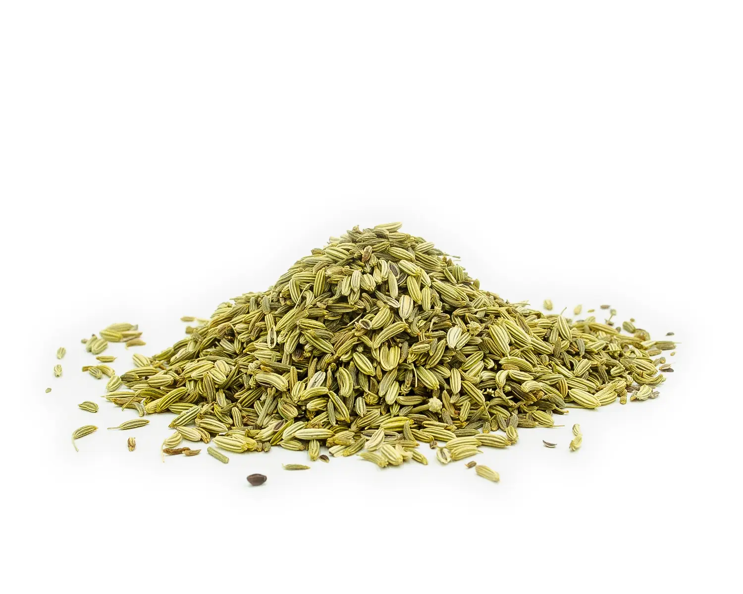 Fennel Seeds — close-up