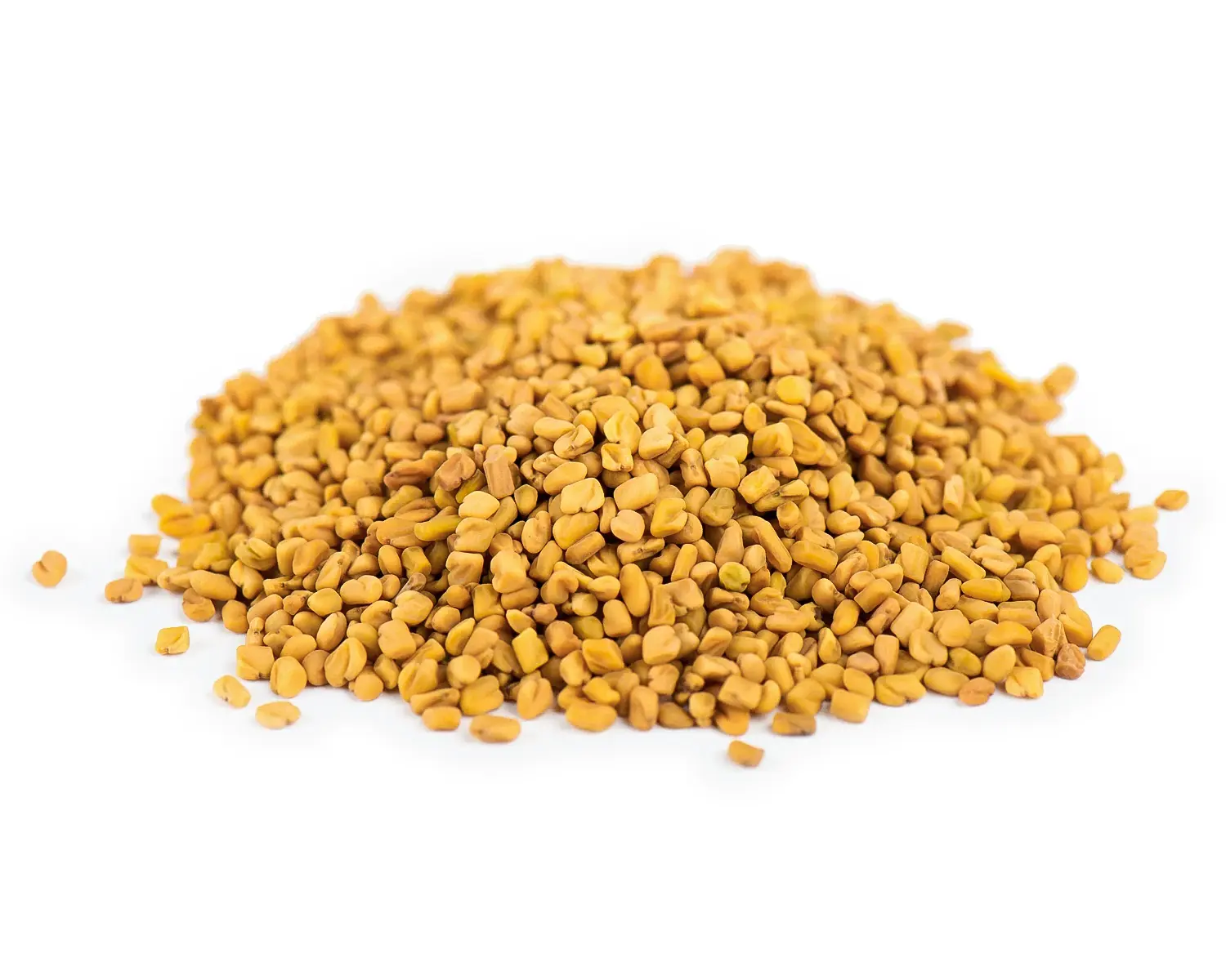 Fenugreek — close-up